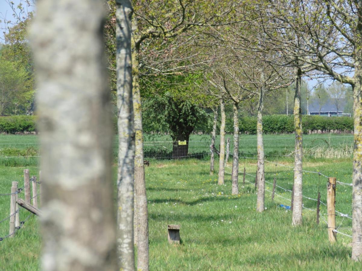 De Aze Bed & Breakfast Terwolde